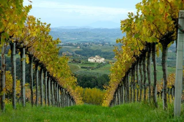 Agriturismo Podere La Marronaia Сан-Джиміньяно Екстер'єр фото